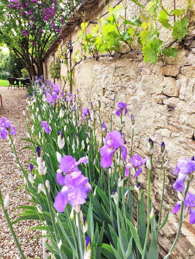 Le 14 Faubourg Bed & Breakfast Beaune  Dış mekan fotoğraf